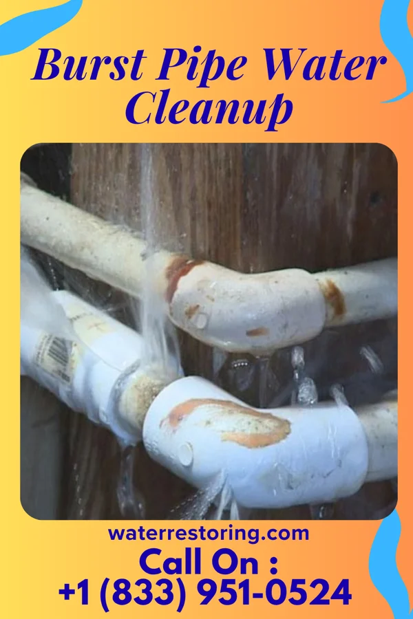 Burst Pipe Water Cleanup in Fairfax, IA
