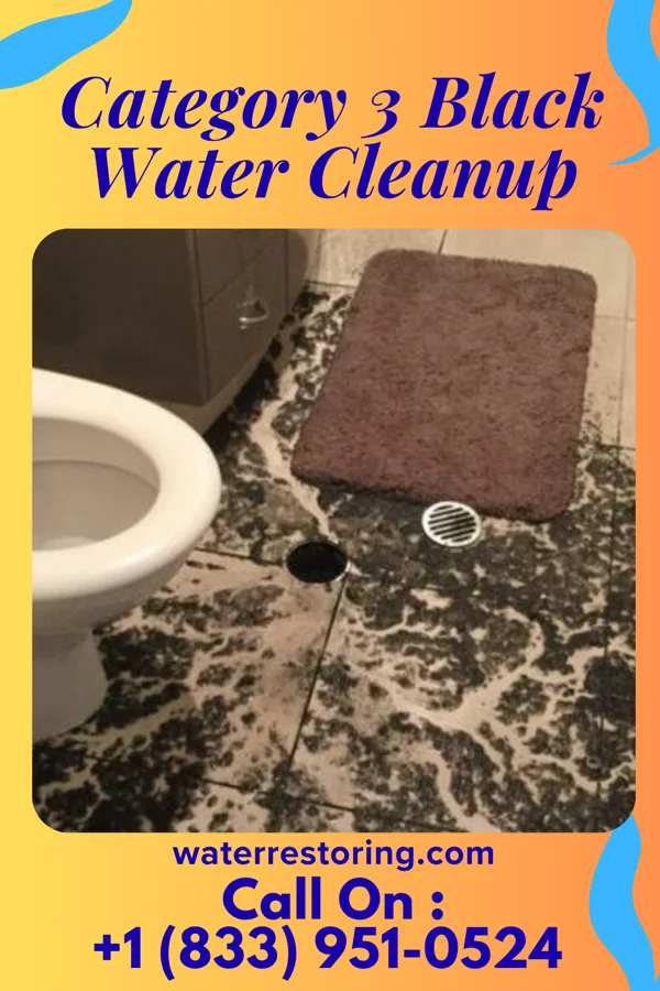 Category 3 Black Water Cleanup in Fairfax, IA
